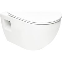 Swiss Aqua Technologies Project Wand-WC ohne Flansch mit Softclose-Sitz, weiß (SATWCPRO010RREXP)