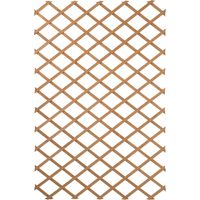 Treillis en bois naturel 50 x 150 cm – Idéal pour rosiers et plantes grimpantes – Traitement autoclave pour durabilité