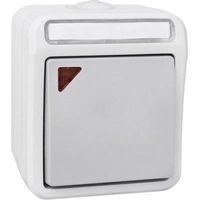 Interrupteur va-et-vient Peranova 102450 Pera gris clair, gris foncé