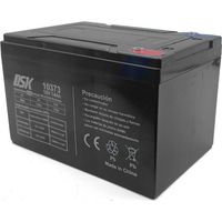 Batteria al piombo 12vdc 14h veicoli ciclici Dsk 10373