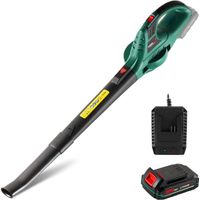 Souffleur de feuilles électrique 20 V – Puissant, léger et polyvalent pour feuilles, neige légère et poussière – Batterie incluse