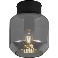 Modern Ceiling Lamp Black with Smoke Glass - Stiklo
