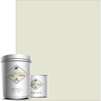 Peinture résine époxy 0,75L MAT 10m² Blanc Fumé Abemus Papam