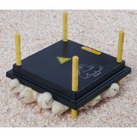 Panneau chauffant pour 15 à 20 poussins – Dimensions 25x25cm – Puissance 15W – ABS – 4 pieds réglables – Chemin Des Poulaillers