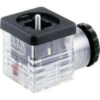 Connecteur d'électrovanne avec affichage de fonction (type A) HTP G1TU2L01 transparent Pôle:2 + PE 1 pc(s) S503491