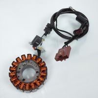 original Lichtmaschine für Roller aprilia 250 scarabeo light 2006