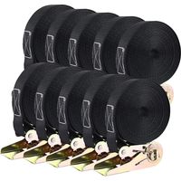 10 Stück 800 kg Ratschengurt, Polyester-Spanngurt, Hochleistungs-Zurrgurt-Set, 6 m x 25 mm (schwarz)