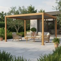 Pergola bioclimatique 3x4m Zeus effet bois