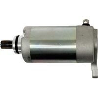 Le démarreur 1C6-H1800-00 convient aux modèles Yamaha TW125 et TW200.