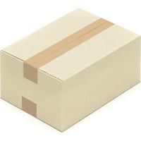 25 Graskartons 300 x 215 x 140 mm Grapapier Kartons Versandkartons aus Graspapier