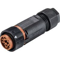Wieland Electric 46.051.4550.4 Rundstecker Kupplung, gerade Gesamtpolzahl: 5 Serie (Rundsteckverbind