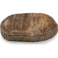 Plat de savon brun en bois pétrifié- Vendu par 1