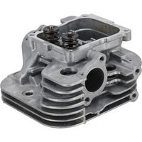 Cylinder head BRIGGS & STRATTON 84010829