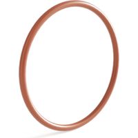 Anello O-ring 1 di ricambio per chiarificatore per laghetti SunSun CUV-155