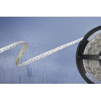Barthelme 51540831 51540831 LED-Streifen mit offenem Kabelende 24 V 5 m RGB 1 St.