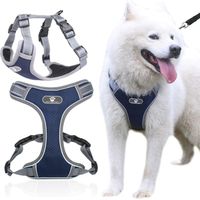 Harnais d'entraînement bleu marine Astro pour chiens, taille L