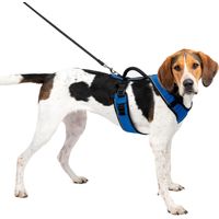 Pettorina modello Easy Sport per cani: L blu