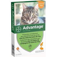 ADVANTAGE 40 - 4 pipettes antiparasitaires - Pour chat et lapin de moins de 4kg
