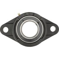 HTB UCFL 205 Cuscinetto flangiato Ghisa Ø foro 25 mm Distanza tra i fori 99 mm