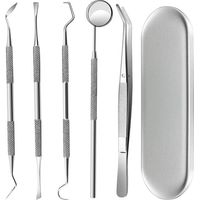 Outils dentaires, 5 pics de dentiste professionnels pour le nettoyage des dents, kit de nettoyage des dents en acier inoxydable, détartreur dentaire, ensemble d'hygiène bucco-dentaire, grattoir à dent