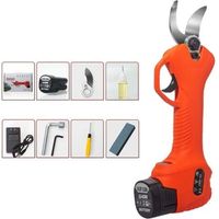 Battery Powered Pruning Shears, Electric Pruning Shears, Cordless Electric Pruning Shears with Brushless Motor, 1 Pack, 2 Ah Rechargeable Lithium Battery, Cutting Diameter 25 mm (Orange)