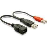 DeLOCK Y-Kabel 2 x USB 2.0 Typ-A Stecker 1 x USB 2.0 Typ-A Buchse 20 cm (65306)