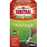 Semillas substral die nachsaat reparación césped germinación rápida 2 kg