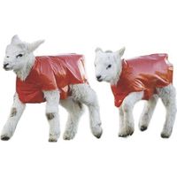 Chubasquero Impermeable para Corderos. Protege a los corderitos del frío y la lluvia. Talla única. Pack 25 unidades