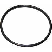 BOSCH Joint torique 120,02x6,99-N everp, 87185725380