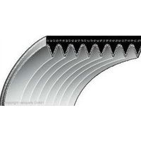 Cinghia compatibile tagliacemento WACKER TS410 12,7x749 9490 000 7901