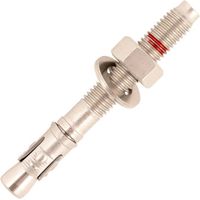 5 Goujons d'Ancrage T Version Inox A4 Ate Option 7 - 16-30-46x150 mm - D-Work