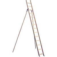 Holz Gartenleiter mit Erdspitzen und 12 Sprossen