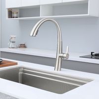 DILECI - Robinet de Cuisine Contemporain Nickel Brossé,Chrome