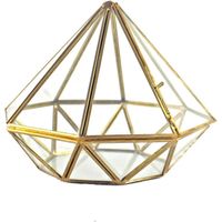 Geometrisches Terrarium aus Klarglas in Fünfeckform, ideal als Fensterbankdekoration oder Blumentopf