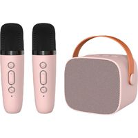 Enceinte karaoké Bluetooth avec 2 microphones sans fil - Enceinte HiFi portable - Rose