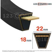 Courroie trapézoidale lisse Contitech Conti V SPC6700 Ld