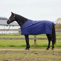 vidaXL Couverture Équine Vert foncé et noir 155 cm Polyester