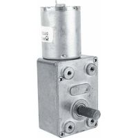Motore elettrico a ingranaggi reversibile a corrente continua 12V, coppia elevata, con riduttore a vite senza fine per apriporta e finestre (6 giri/min)