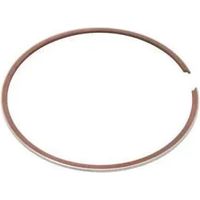 Segmento di ricambio Vertex 1 pezzo durevole affidabile