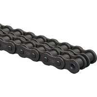 Catena rulli doppia ASA 50 TSUBAKI RS502