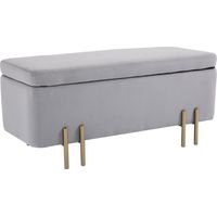 Banc de rangement rembourré pour salon et chambre, 100 x 40 x 42 cm, gris fabriqué avec des matériaux écologiques et durables, respectueux de l'environnement, offrant un rapport qualité-prix except...