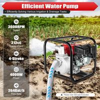 Pompe de pompage d'essence, pompe pneumatique de transfert d'eaux usées de 2 pouces 4 temps, pompe à essence d'irrigation de ferme de jardin de 7.5hp 212cc, pompe d'irrigation portable à haute pressio