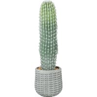 Cactus Artificiel 66 cm, Plante Décorative avec Pot, Vert
