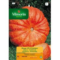 Graines Vilmorin Pumpkin Rouge Vif D 'Etampes - 7 gr