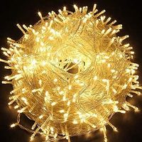 100M 2000 LED Fairy Lights Carnival Wedding Outdoor Indoor Garden Lighting (Warm White)