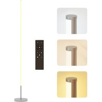 Lampadaire, argenté, Ø20, 150cm, avec télécommande, éclairage LED, pour salon chambre, éclairage décoratif, ambiance salon chambre