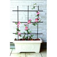 TrendLine Rankgitter 90 cm Trendline TrendLine 90cm 06925011504650 Rankgitter Rankgitter TrendLine Trendline