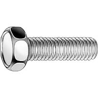 VIS À TÊTE HEXAGONALE DIN933 8.8 ZN - M16X100