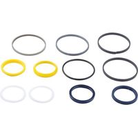 Dichtungssatz Lenkzylinder CARRARO CI049109