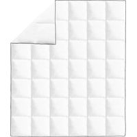 Couette en duvet d'hiver 200 x 220 cm
